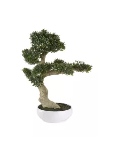 Bonsai Ficus Artificiale - L'oca Nera