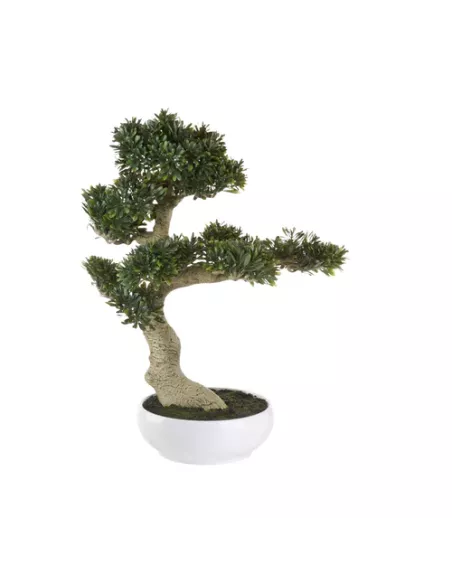 Bonsai Ficus Artificiale - L'oca Nera