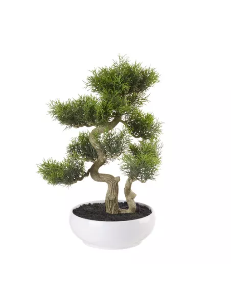 Bonsai Cedro Artificiale - L'oca Nera