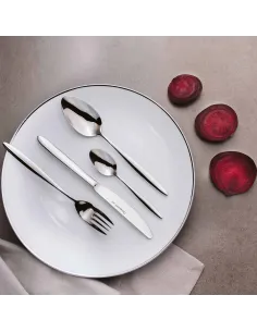 Servizio Posate 24Pz.In Acciaio Inox 18/10 Linea New Jole 2