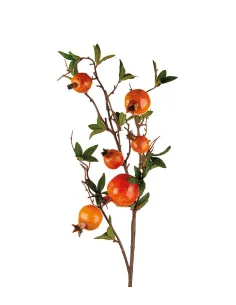 Melograno - I Fiori L'Oca Nera