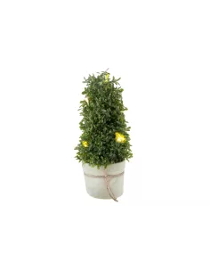 Albero Basso Grande Con Luci  - 1XM068.15  - L' Oca Nera  - NATALE