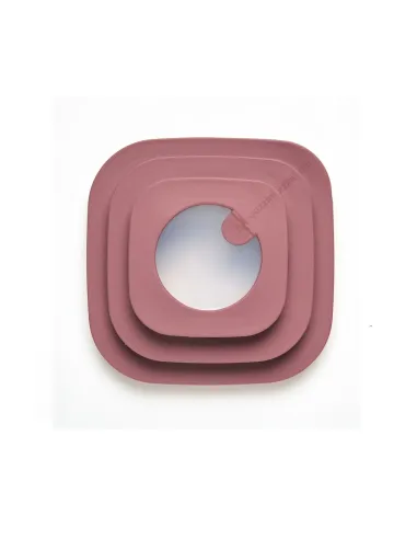 Store&more Bio - Contenitore Ermetico Basso Per Frigo/ Freezer/ Microonde 450 cc Malva