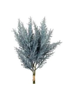 Ginepro grigio - I Fiori L'Oca Nera