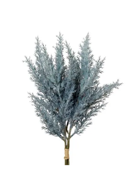 Ginepro grigio - I Fiori L'Oca Nera