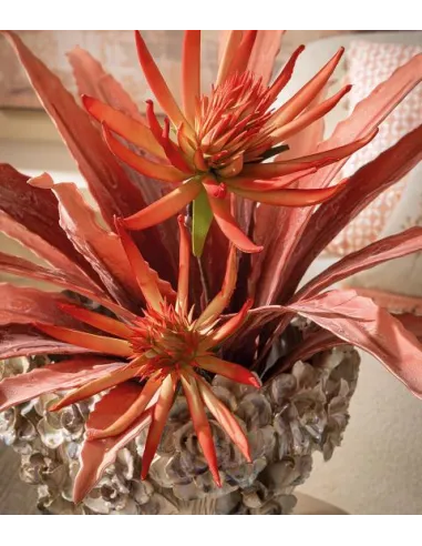 Bergamotto - I Fiori L'Oca Nera