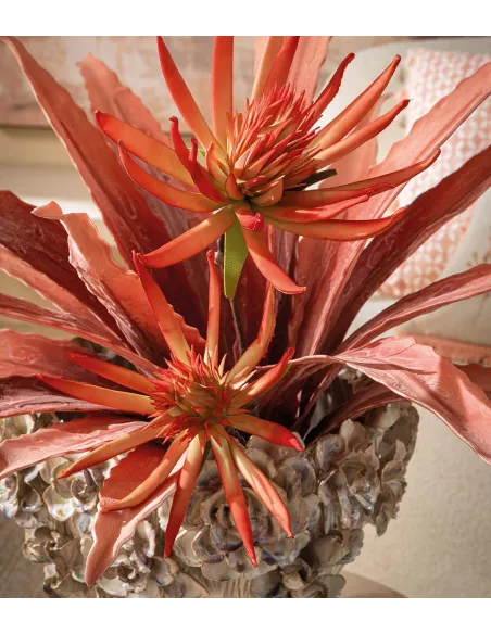 Agave Rossa - I Fiori L'Oca Nera