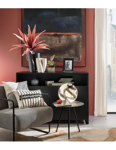 Agave Rossa - I Fiori L'Oca Nera