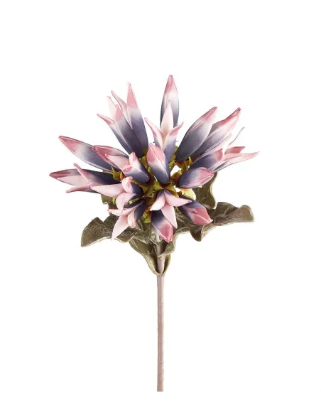 Dalia Viola - I Fiori L'Oca Nera