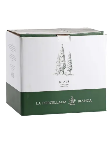 Servizio Piatti 18pz Reale in New Bone China