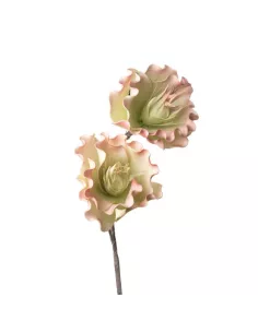 Papavero - I Fiori L' Oca Nera