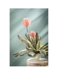 Agave - I Fiori L' Oca Nera  - 1P124  - L' Oca Nera  - Fiori Decorativi 2