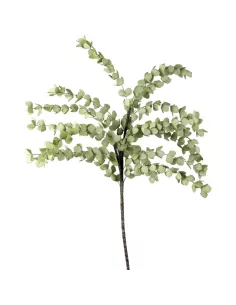 Eucalipto Verde Chiaro - I Fiori L'Oca Nera