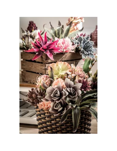 Protea Stem - I Fiori L'Oca Nera