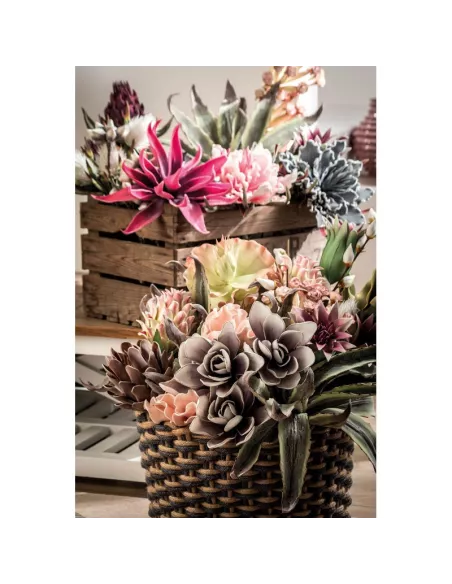 Protea Stem - I Fiori L'Oca Nera