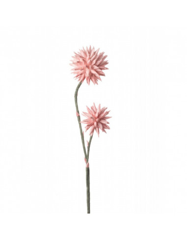 Crisantemo Pompon - I Fiori L' Oca Nera