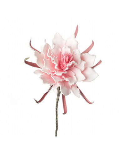 Protea Reale Rosa - I Fiori L'Oca Nera